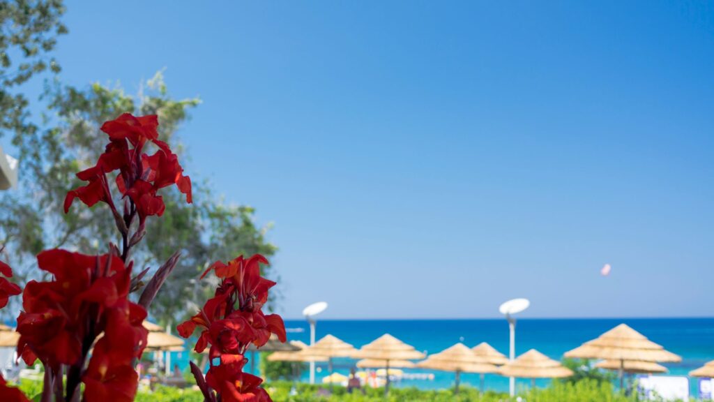 resor till ayia napa