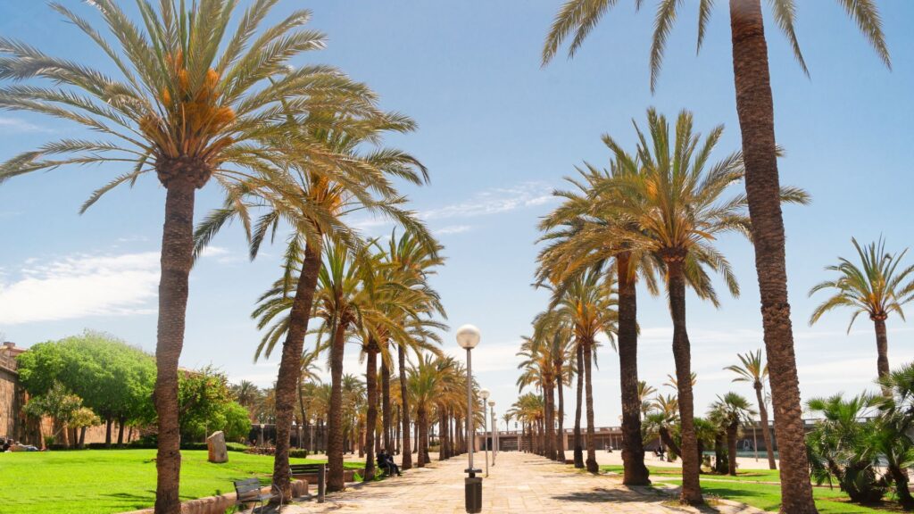 resor till mallorca