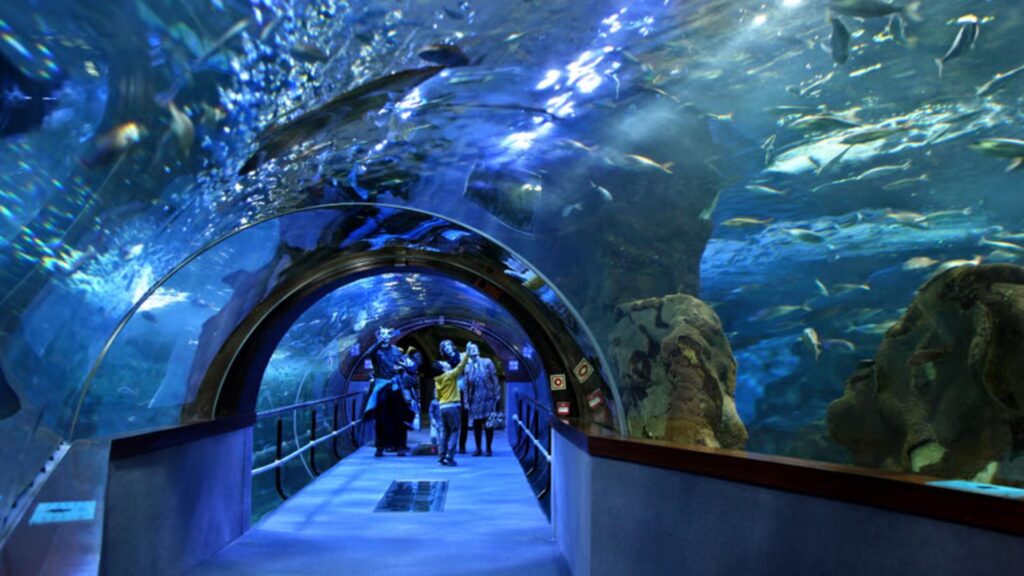 resor till san sebastian